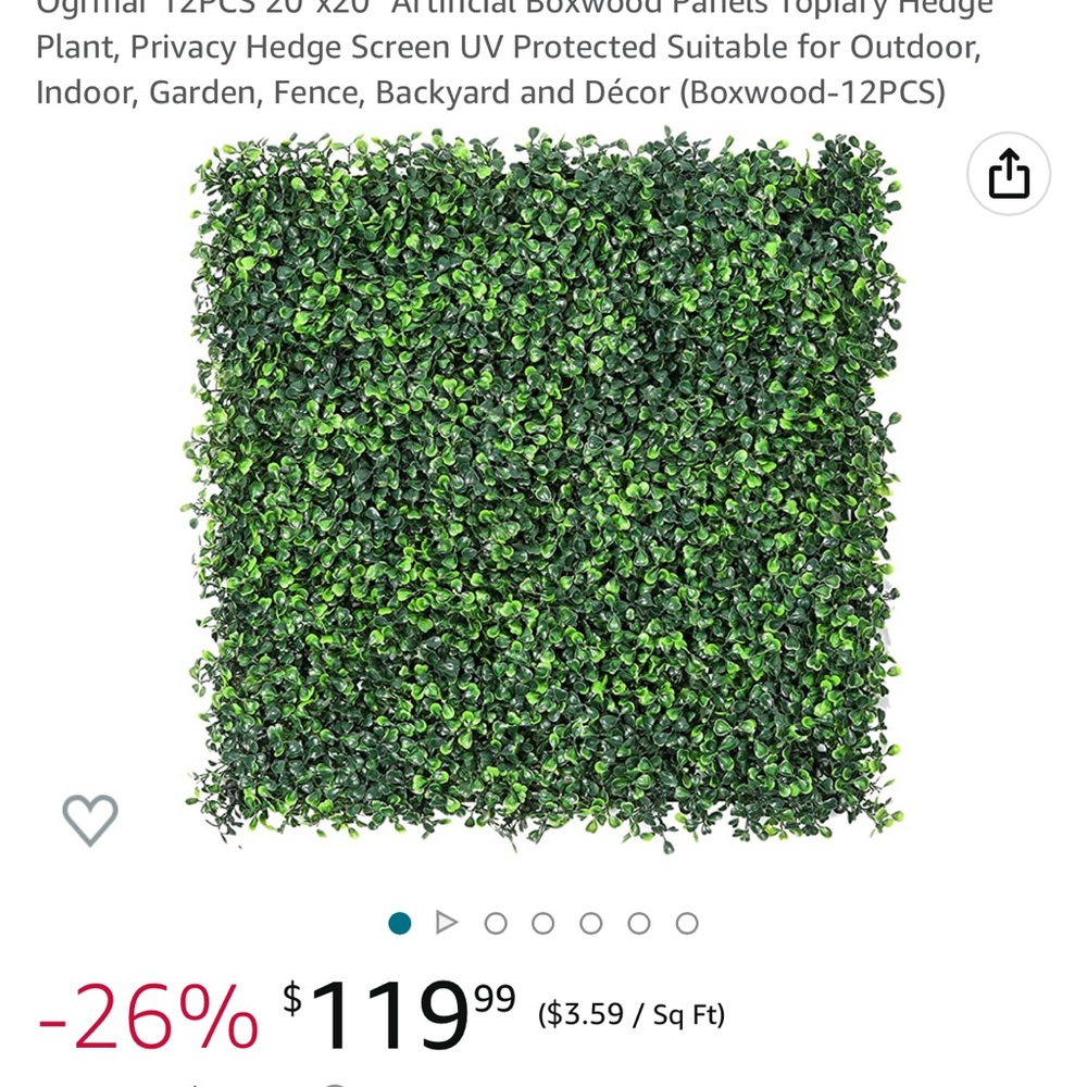 Grass wall - Picture 4 of 5